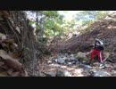 島国の遥か森の中でシャドーボクシング踊ってみた