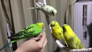 ゆらゆらブランコ