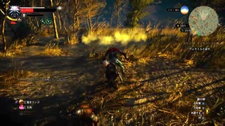 ウィッチャー3　そえもの実況プレイ　Part6