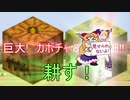 【ゆっくり実況】巨大！　カボチャ＆スイカ畑！【マイクラ】