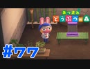 【実況】モモチに半袖セーラー服を着てもらった #77【あつまれどうぶつの森】