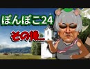 ぽんぽこ24のその後