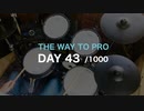 『プロドラマーへの道』43日目/1000日