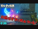 【続編決定記念】のんびりと伝説「ゼルダの伝説～ブレスオブザワイルド～」　＃36