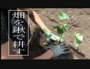 荒れた土地を開墾して畑にしてみた