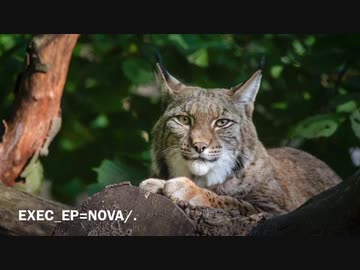 (声だけで) EXEC_EP=NOVA/.(嘔ってみた)