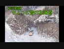 【走行動画】ちょっと昔の北海道