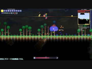 Terraria廃人への道【Master Mode】Part11