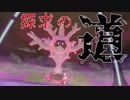 【ポケモン剣盾】呪い祟る珊瑚と探求の道