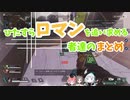 ただただロマンをかき集めた動画[ブイアパ]