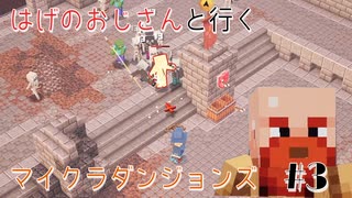 【マイクラ】矢でごり押しする系のはげ【arcチャンネル】