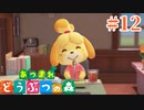 どう森歴17年目の初無人島生活ゆっくり実況【あつまれどうぶつの森】　＃12