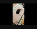小さい頃のみーさん1