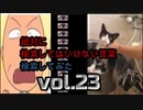 【怖くない】絶対に検索してはいけない言葉を検索してみたvol.23【わかりやすい！】