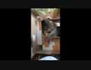 小さい頃のみーさん2