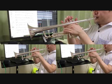 【霊知の太陽信仰】地霊殿6面の曲をトランペットで吹いてみた【業火マントル】