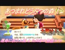 【あつ森】前人未島へようこそ！#78【あつまれどうぶつの森】