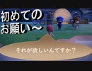 【あつまれ どうぶつの森】　第二十五幕　来訪者さんからの初めてのお願い！！聞いてあげるべきかそれとも？2