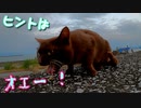 猫の能力『魚の骨、どうやって食べてる？』