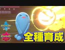【ポケモン剣盾実況】全種育成その3【ソーナンス】