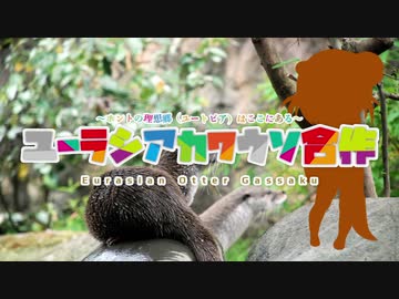 マーモット合作 ニコニコ動画