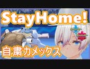 【ポケモン剣盾】３蜜回避!!StayHome型カメックス邪魔するやつは即!!熱湯ぶっかけ【ランクマッチ】