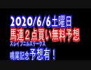 【超馬券術】スレイプニルステークス・鳴尾記念有り馬連２点無料競馬予想2020/6/6土曜日