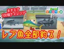 D1-25：レア魚が釣れすぎ！5月の魚を釣り切る動画【あつまれどうぶつの森】【女性ゲーム実況】