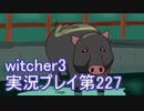 探し人を求めてwitcher3実況プレイ第227回