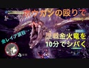 【MHWI】ボウガンの殴りで歴戦レイア希少種を１０分でシバく方法