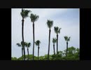 ２０２０年６月４日　ho散歩