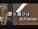 愛の喜びは/J.P.マルティーニ【アルトサックス + ピアノ】