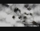 【オリジナル曲】Night Walker - episode.21