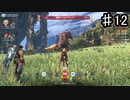 【ゼノブレイドDE】見るからにヤベー奴いるんですけど【実況】♯12