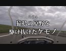 北海道二輪旅 R01 ④ 猿払の原野を駆け抜けたケモノ