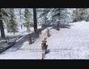 【初見】ＳｋｙｒｉｍＳＥ字幕プレイ　内戦クエスト編その４ー１「ホワイトランからコルバンヤンドまで」