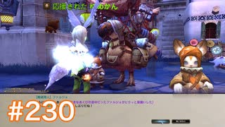 気持ちだけ移住 ドラゴンネスト実況　part230