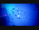 琉球と竜宮の刀がサンゴ海を巡る【第７章：下降】