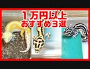 【レオパの相場が分かる】1万円以上で買えるおすすめレオパのモルフ３選