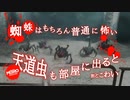 【MetroExodus】これがギャップ萌えってやつか：#13