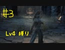 【Bloodborne Lv4縛り】フロムゲー中級者のブラッドボーンpart3【実況プレイ】