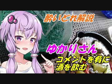 【酔いどれ解説】結月ゆかりの洋書解説 Part4.5【コメント返し回】