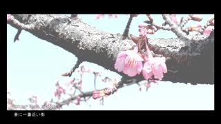 春に一番近い街／なぎ　【歌ってみた】