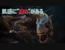 【MHWIB】伝説のポケモン"ティガレックス"―復帰勢によるまったりモンハンワールド