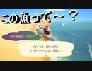 【あつまれ どうぶつの森】　第二十六幕　島の整理をしながら釣りしてたらあのアニメの主役みたいな魚が釣れた～2