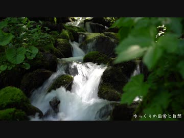 ５月の源流