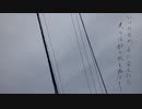 灯台 / きりたん