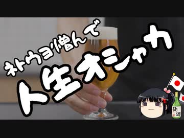 姿見えぬネトウヨと戦ったパヨク、逮捕。