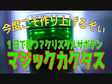 「今度は成功？･･･なんだけど何か違う」釣り好きのおっさんが　 他の楽しみを探してみた件  ～第8暇～