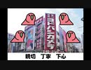 ヨドバチンチンカメラ